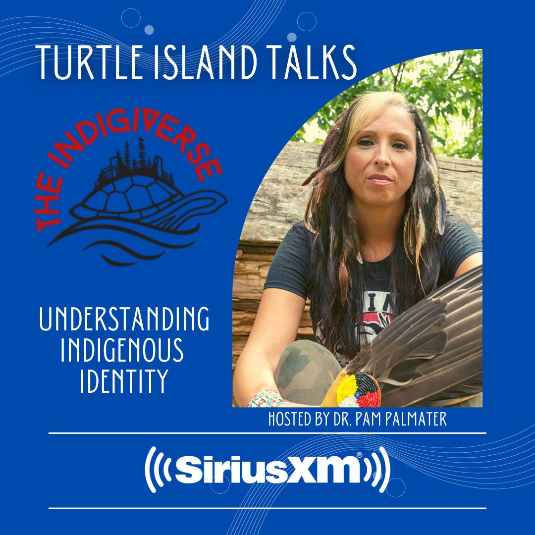 Turtle Island today Indigenous issues Turtle Island today Indigenous issues